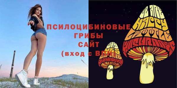 хмурый Кулебаки
