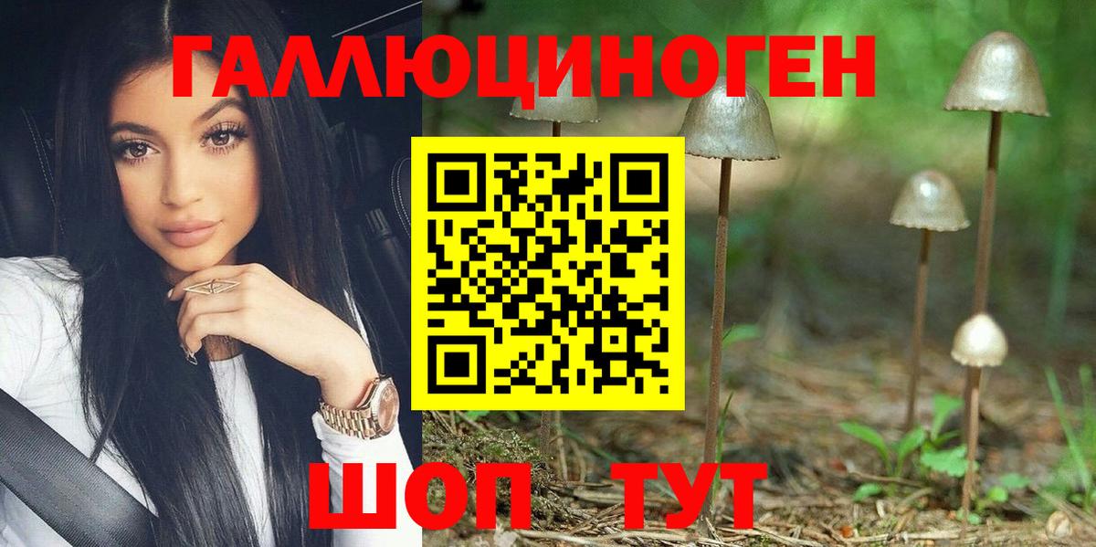Ленинск-Кузнецкий  Псилоцибиновые грибы MAGIC MUSHROOMS  Вход с VPN 