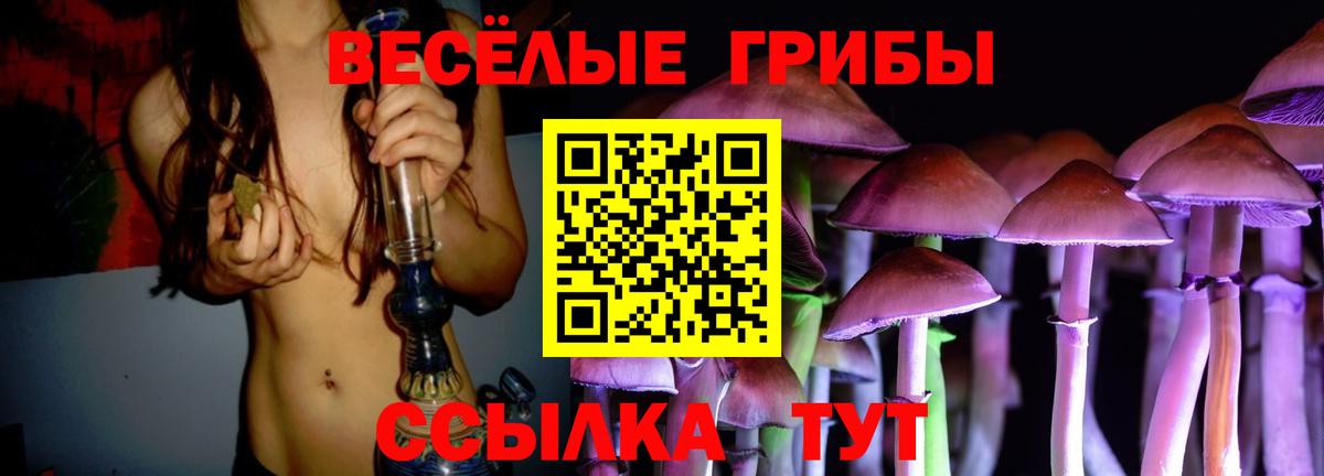 МЕФ Ленинск-Кузнецкий