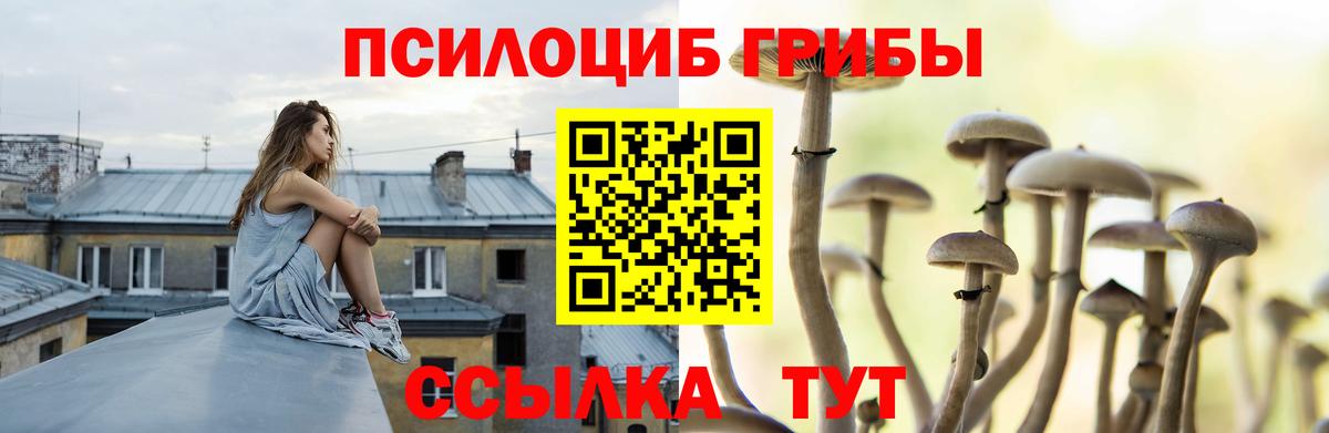 Галлюциногенные грибы прущие грибы Ленинск-Кузнецкий